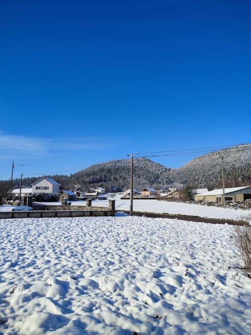 Gite Cosy Avec Avec Jardin Et Parking Privatifs - Hautes Vosges Saint-Ame Екстер'єр фото
