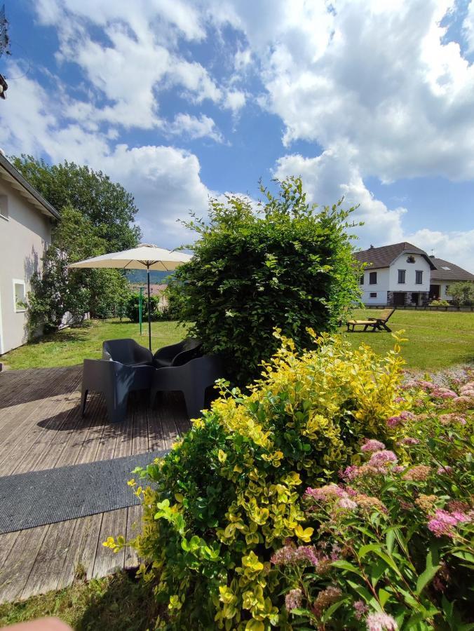 Gite Cosy Avec Avec Jardin Et Parking Privatifs - Hautes Vosges Saint-Ame Екстер'єр фото